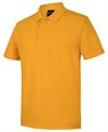 JB's 210 Polo 210
